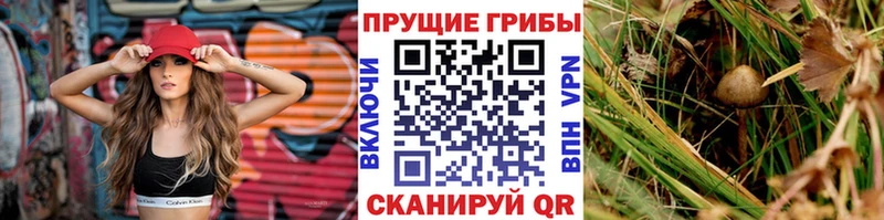 маркетплейс официальный сайт  Нижневартовск  Псилоцибиновые грибы мицелий 